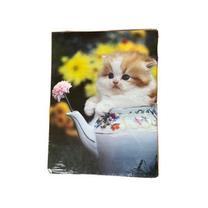 Vintage 90s 1992 Hamburger Press Kitty Flower Poster Print 15x20 Ron Kimball